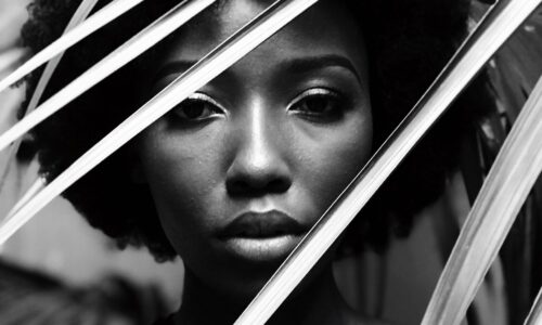 Les femmes Noires dans le cinéma américain : des stéréotypes raciaux et sexistes à la représentation d’une véritable identité